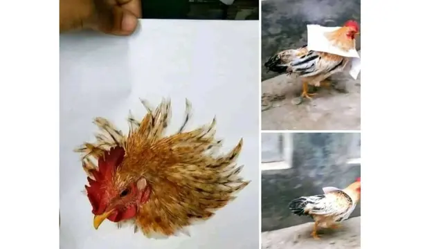 6 Kreasi Unik Bikin Lukisan Gambar Hewan Ini Bikin Tepuk Jidat
