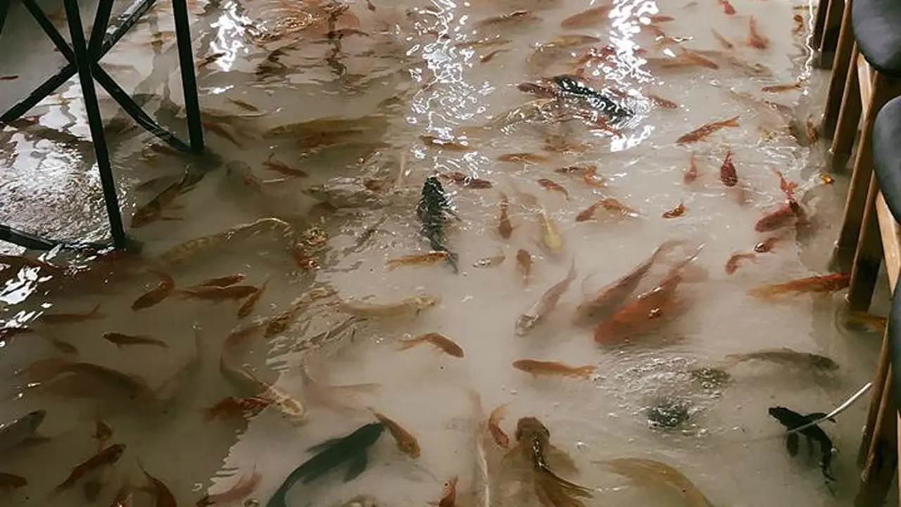 Amix Cafe di Vietnam yang berlantai kolam ikan koi (Facebook / Amix Cafe)