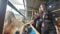 Jelang Iduladha, Pemerintah Kota Depok Lakukan Pengawasan Penyelenggaraan Hewan Kurban