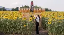Seorang wisatawan berfoto di sebuah ladang bunga matahari di Provinsi Lopburi, Thailand, pada 14 Desember 2020. Ribuan hektare lahan dipenuhi oleh bunga cantik berwarna kuning terang ini yang bermekaran pada November hingga Januari. (Xinhua/Zhang Keren)
