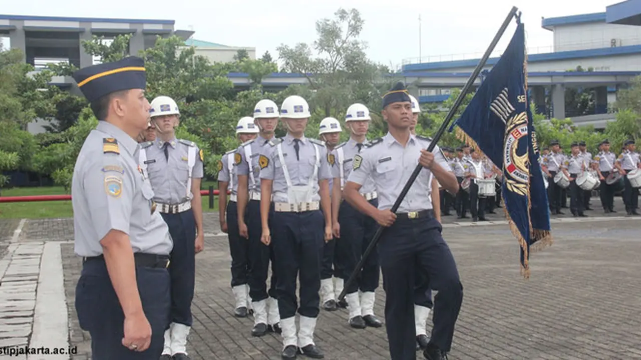 stip-130729b.jpg