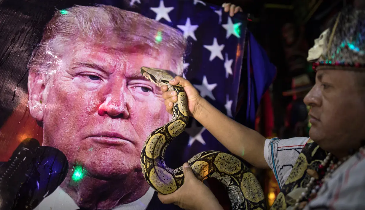 Seorang dukun melakukan ritual mistik memegang ular di depan gambar Presiden AS Donald Trump, di dalam sebuah apartemen di Lima, Peru, Rabu (16/9/2020). Para dukun berkumpul untuk memprediksi siapa pemenang dari pemilihan presiden AS yang akan dihelat pada 3 November mendatang (AP Photo/Rodrigo Abd)