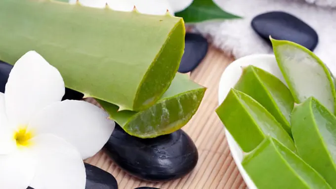 Foto: copyright thinkstockphotos.com