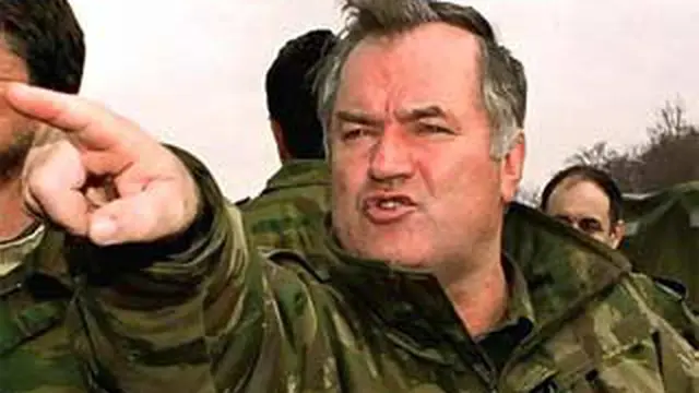 110530bratko-mladic.jpg