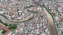 Pemerintah Provinsi Daerah Khusus Jakarta berkoordinasi dengan Kementerian Pekerjaan Umum (PU) serta Kementerian Agraria dan Tata Ruang/Badan Pertanahan Nasional (ATR/BPN) dalam kelanjutan program normalisasi Kali Ciliwung. (merdeka.com/Arie Basuki)