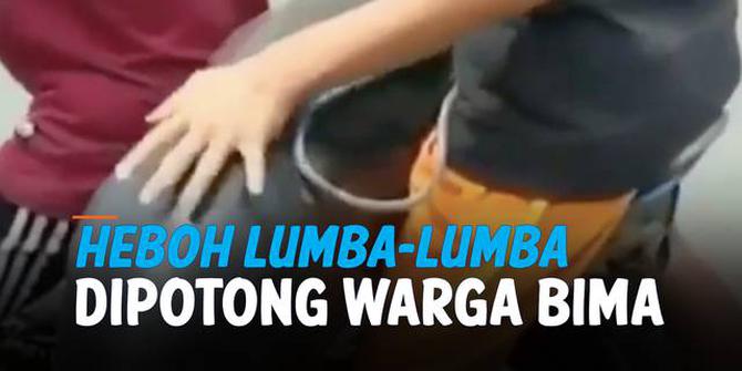 VIDEO: Heboh, Lumba-Lumba Dipotong dan Dimakan Warga Bima