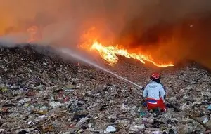 Api Lahap 15,5 Hektare Area TPA Supit Urang Malang