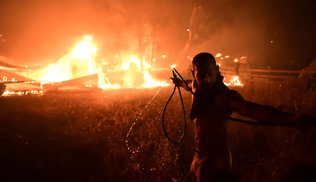 Seorang pria menggunakan selang air saat kebakaran hutan di daerah Adames, utara Athena, Yunani, Selasa (3/8/2021). Gelombang panas membuat suhu mencapai 42 derajat Celcius (107,6 Fahrenheit) di beberapa bagian Ibu Kota Yunani. (AP Photo/Michael Varaklas)