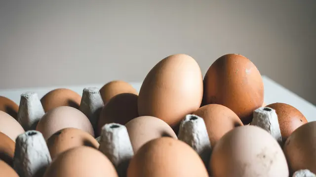Wadah Telur Bekas Bisa Buat Apa? 9 Ide Kreatif Daur Ulangnya
