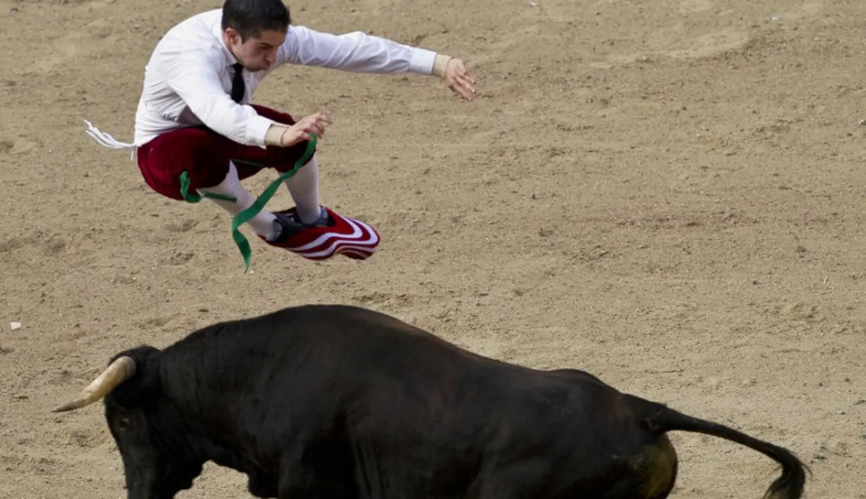 Sebuah aksi gila diperagakan seorang matador saat beraksi di arena adu banteng Canaveralejo di Cali, Kolombia, Senin (21/12/2014). (AFP Photo/Luis Robayo)