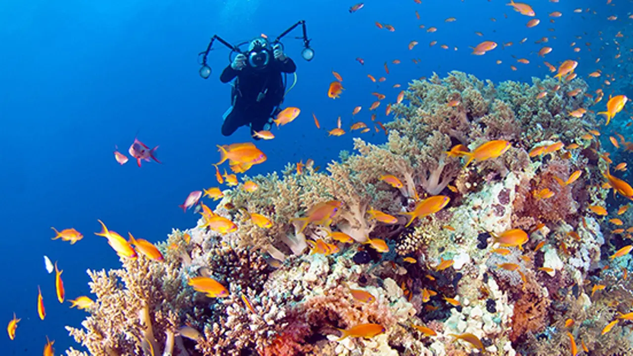 Wakatobi