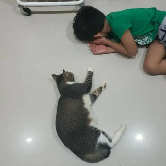 Setia Temani Majikannya yang Sakit, Kisah Kucing Buta yang Diadopsi Ini Bikin Pilu