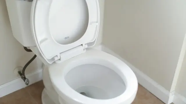 Ilustrasi toilet.