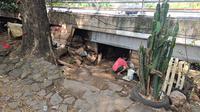 Nunik, bukan nama asli, dan keluarga tinggal di kolong tol usai kediamannya di kawasan Kalijodo, Jakarta Barat, digusur. (Merdeka/Rahmat Baihaqi)
