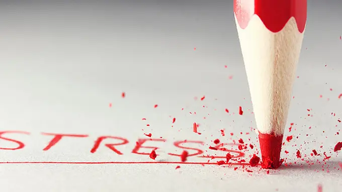 Courtesy ShutterStock.com