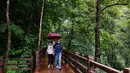 Wisatawan berjalan-jalan di hutan yang berada di kawasan wisata di Kota Zunyi, Provinsi Guizhou, China (7/10/2020). Terkenal karena kekayaan sejarah dan sumber daya alamnya, Kota Zunyi menarik banyak wisatawan selama libur Hari Nasional dan Festival Pertengahan Musim Gugur. (Xinhua/Yang Wenbin)