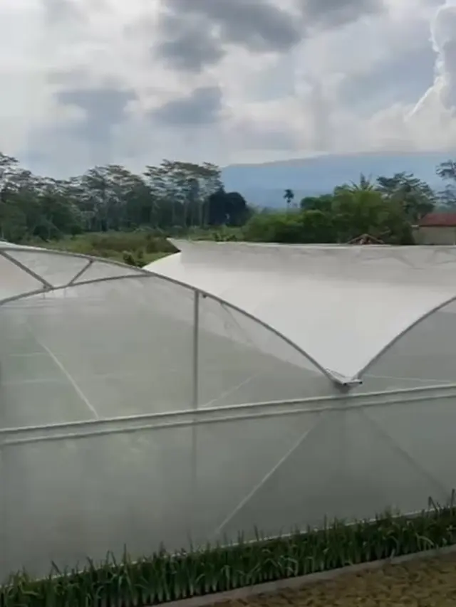 Mayangsari di kebun melon (Instagram/mayangsari_official)