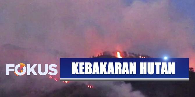 Hutan Gunung Merbabu Terbakar, Petugas Turunkan 102 Pendaki