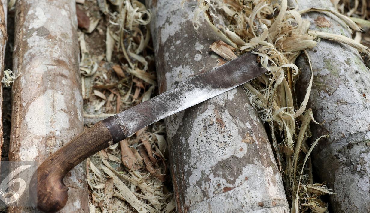 Sebuah golok yang dipakai pengrajin untuk membuat batang Panjat Pinang Manggarai, Jakarta, Senin (10/8/2015). Jelang HUT Kemerdekaan RI  permintaan Pohon Pinang meningkat dengan nilai jual berkisar Rp 900 ribu- Rp 1 juta. (Liputan6.com/Yoppy Renato)