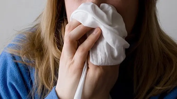 Ilustrasi wanita./Copyright pixabay.com