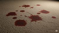 How to Get Blood Out of Carpet: 6 Simple Methods You Can Try