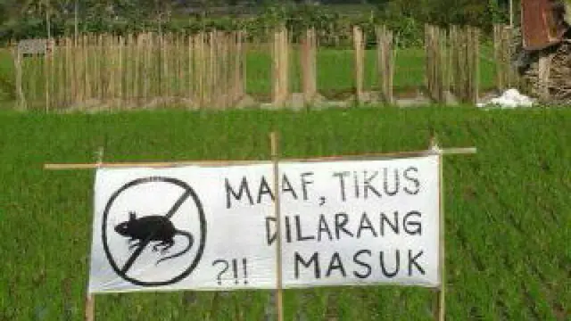 6 Tulisan Hewan Dilarang Masuk Ini Absurd Banget, Kocak