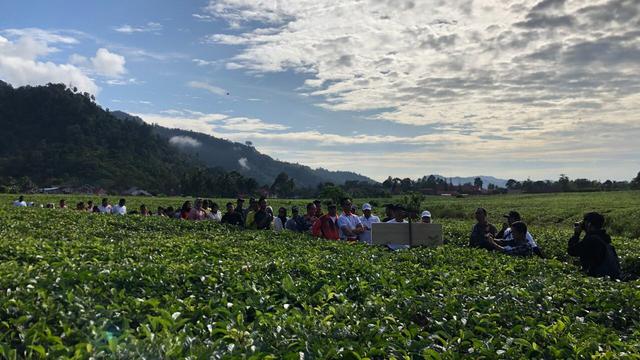 Holding BUMN Pangan atau ID FOOD ingin kmebali membumikan budaya minum teh di masyarakat. Disamping itu, ada potensi ekspor produk teh ke Taiwan hingga Jerman