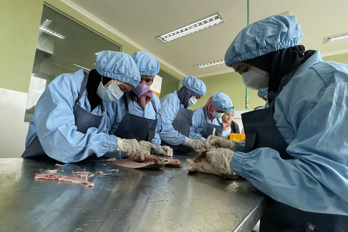 Kementerian Kelautan dan Perikanan (KKP) mempercepat hilirisasi ikan bandeng di Kabupaten Gresik melalui pemberian bantuan satu Unit Pengolahan Ikan (UPI) Nilai Tambah