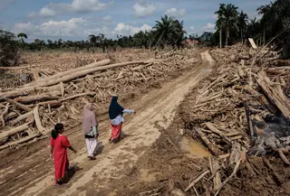 Aceh Tamiang menjadi salah satu daerah yang paling terdampak bencana banjir bandang Sumatera yang terjadi pada (26/11/2025) lalu. Tampak dalam foto, para wanita melintasi jalan yang telah dibersihkan dari pohon-pohon tumbang pasca banjir bandang di Aceh Tamiang, pada Rabu 10 Desember 2025. (Aditya Aji/AFP)