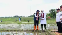 Banyuwangi Terapkan Pemupukan Tepat Dosis Berbasis IoT, Solusi Pengurangan Pupuk Subsidi