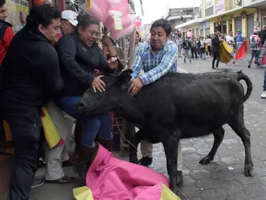 Seekor banteng muda dielus-elus oleh para penonton dalam acara lari dikejar banteng di Pillaro, Ekuador, 4 Agustus 2018. Dalam acara ini, lusinan banteng dilepas dan berlari menabraki para pengunjung yang memadati jalan. (AP/Dolores Ochoa)