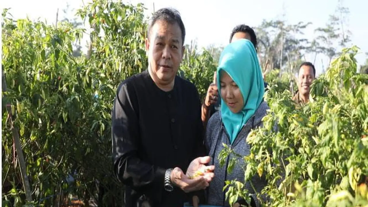 Antisipasi Inflasi, Pemkab Purwakarta Gencar Gerakan Tanam Cabai