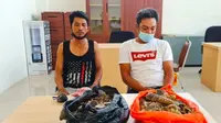 Dua tersangka penjual sisik trenggiling saat diperiksa penyidik Reskrimsus Polda Riau. (Liputan6.com/M Syukur)