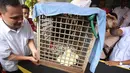 Petugas menunjukkan barang bukti dugaan tindak pidana di bidang Konservasi Sumber Daya Alam (KSDA) hayati dan ekosistemnya di Polda Metro Jaya, Jakarta, Selasa (4/4). (Liputan6.com/ Immanuel Antonius)
