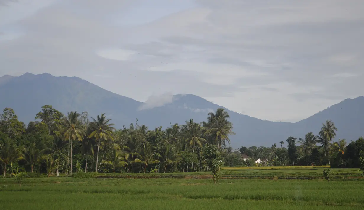 Secara geografis, Gunung Raung berada dalam kawasan kompleks Pegunungan Ijen dan menjadi puncak tertinggi dari gugusan pegunungan tersebut. Gunung Raung merupakan gunung tertinggi kedua di Jawa Timur setelah Gunung Semeru. (Istimewa)