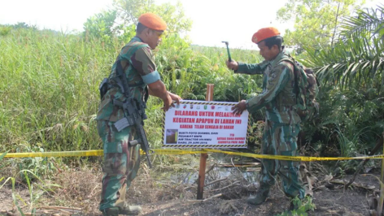 kebakaran hutan riau