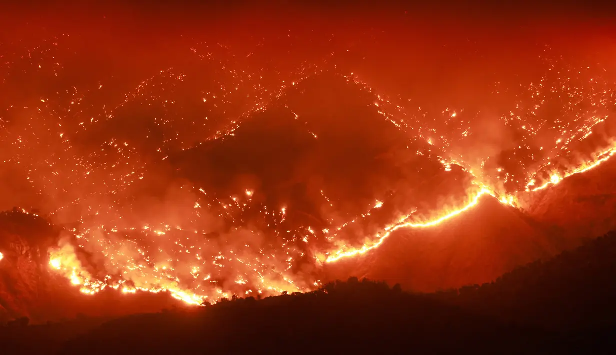 2.834 hektar atau 7.002 acre area hutan hangus terbakar. (David SWANSON/AFP)
