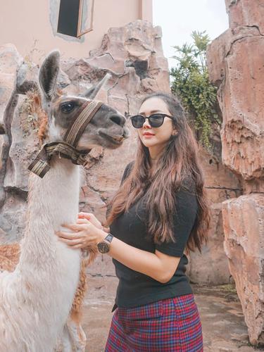 Aura Kasih dan Seekor Llama. (Instagram @aurakasih)