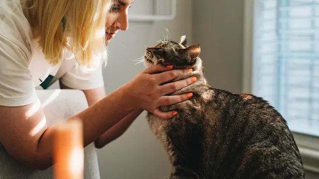 Ciri Orang dengan Kecerdasan Naturalis