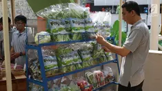 Pengunjung melihat produk pangan organik ekspo Halo Organik di Tribeca Central Park, Jakarta (21/9/2019). PT Arla Indofood menyelenggarakan Halo Organik, wadah inspiratif  yang mempertemukan komunitas pecinta produk dan gaya hidup organik di Jakarta hingga 22 September. (Liputan6.com/Angga Yuniar)