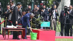 PM Malaysia, Mahathir Mohamad didampingi Presiden Joko Widodo (Jokowi) menyiram pohon yang baru mereka tanam di halaman belakang Istana Bogor, Jumat (29/6). Penanaman pohon Meranti itu dalam rangkaian penyambutan PM Mahathir. (Liputan6.com/Angga Yuniar)