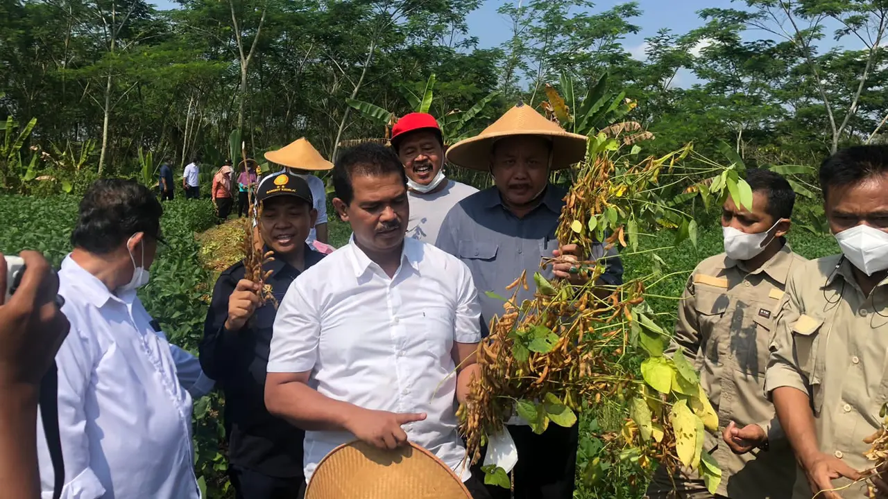 Kementan Lakukan Panen Kedelai di Sukoharjo dan Sosialisasi Pupuk Organik Hayati
