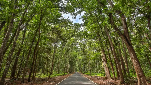 Taman Nasional Alas Purwo Banyuwangi (Istimewa)