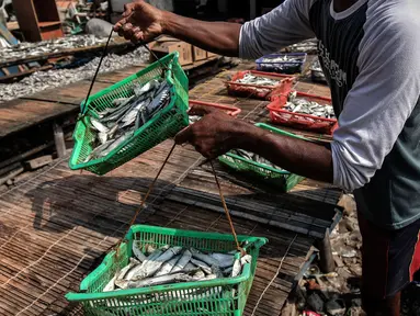 Pekerja menjemur ikan asin di sentra produksi kawasan Kampung Nelayan Muara Angke, Jakarta, Kamis,(17/2/2022). Kementerian Keuangan mengalokasikan anggaran untuk program Pemulihan Ekonomi Nasional (PEN) tahun 2022 sebesar Rp455,62 triliun. (Liputan6.com/Johan Tallo)