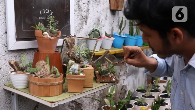 FOTO: Mengolah Tanaman Duri Jadi Bisnis yang Menguntungkan