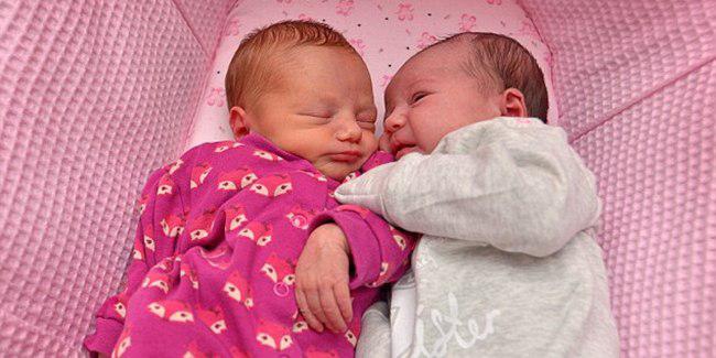 Delilah dan Pixie yang lahir di hari yang sama. | Foto: copyright dailymail.co.uk