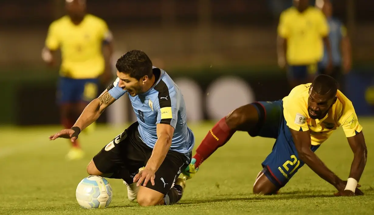Striker Uruguay, Luis Suarez, terjatuh setelah dilanggar pemain Ekuador, Gabriel Achilier, dalam laga Kualifikasi Piala Dunia 2018 di Montevideo, Jumat (11/11/2016) pagi WIB. (AFP/Miguel Rojo)