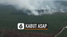 Kebakaran hutan masih terjadi di Palangka Raya, Kalimantan Tengah walaupun hujan sudah sempat turun. Titik api di Kalimantan Tengah sudah berkurang, dan kualitas udara mulai membaik.
