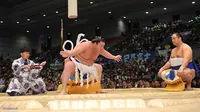 Tarung Sumo di Senayan Sedot Perhatian Warga