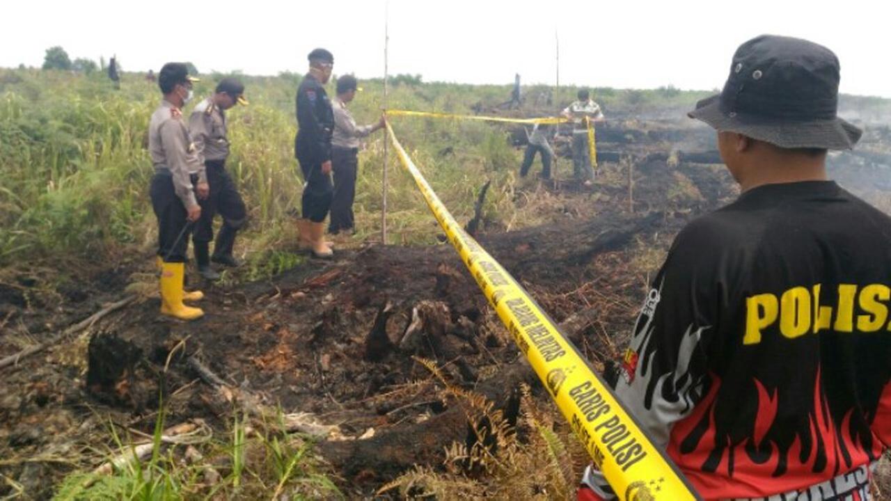kebakaran hutan riau